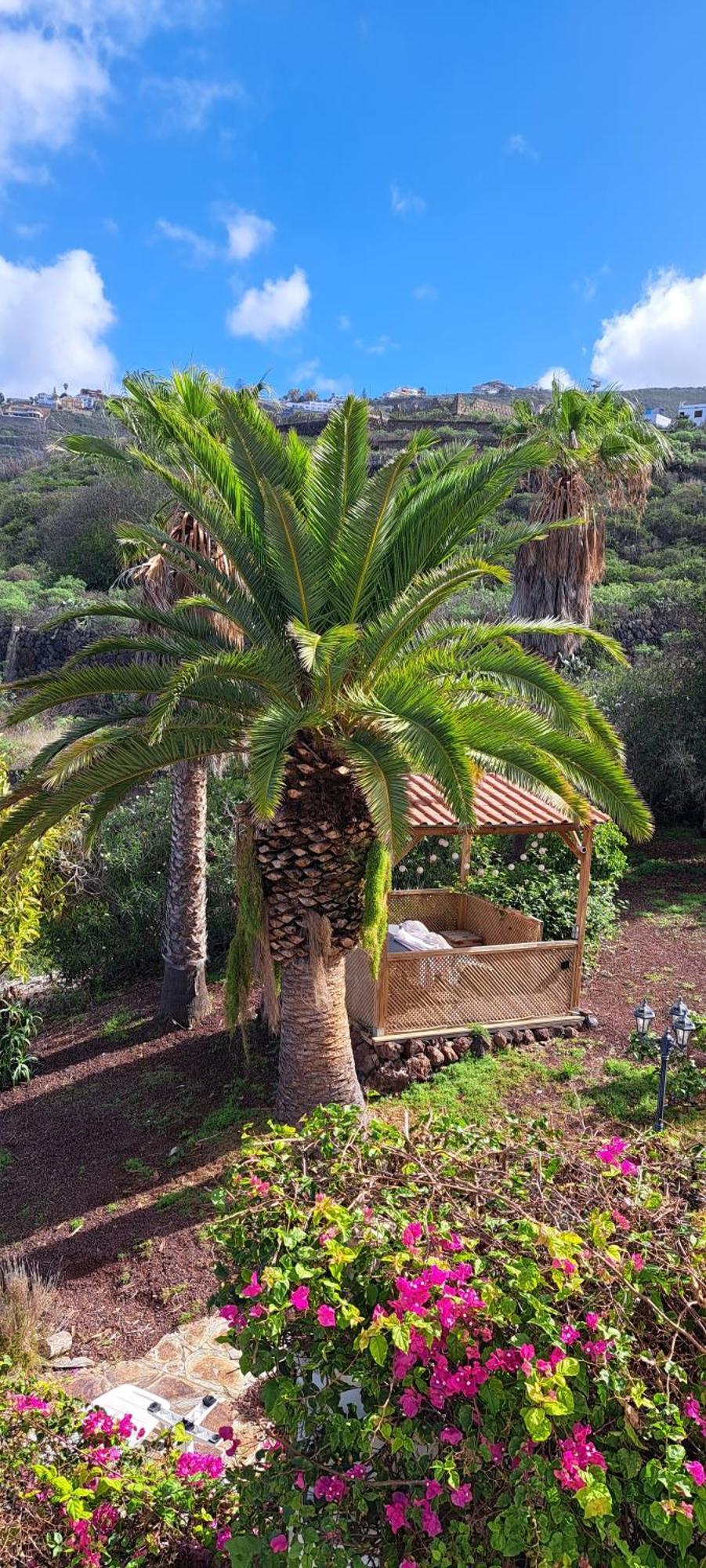Villa Larnia De Tenerife เซาซาล ภายนอก รูปภาพ